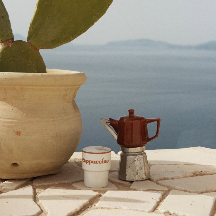Ceramic teapot and cup with 'Cappuccino' text next to a cactus on a stone surface with a mountainous background.